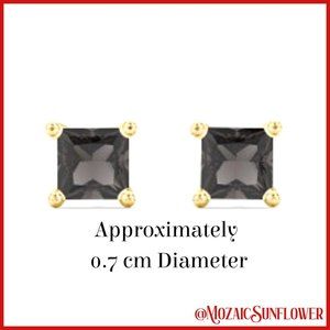 AAAA+ Rated 7mm CZ Stainless Steel PVD Gold Black Princess Cut Flat Back